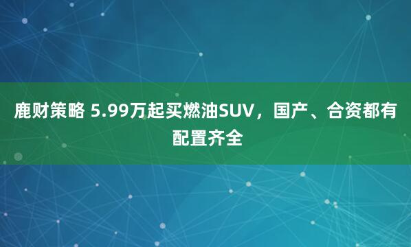 鹿财策略 5.99万起买燃油SUV，国产、合资都有 配置齐全
