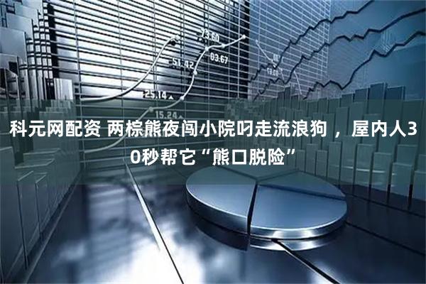 科元网配资 两棕熊夜闯小院叼走流浪狗 ，屋内人30秒帮它“熊口脱险”