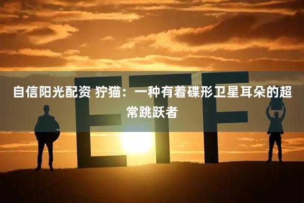 自信阳光配资 狞猫：一种有着碟形卫星耳朵的超常跳跃者