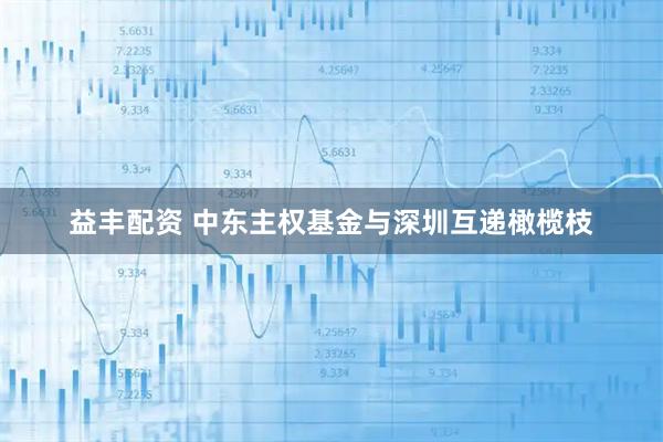 益丰配资 中东主权基金与深圳互递橄榄枝