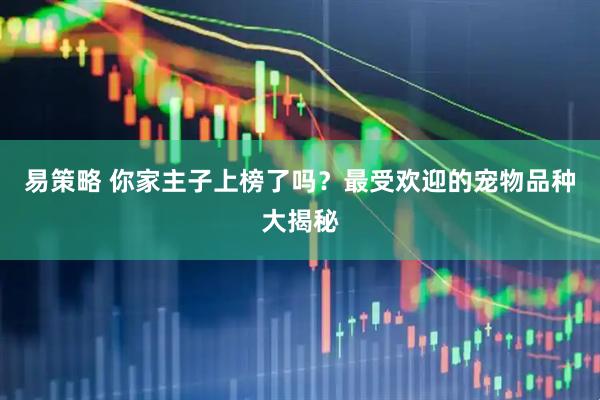 易策略 你家主子上榜了吗？最受欢迎的宠物品种大揭秘