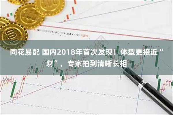 同花易配 国内2018年首次发现！体型更接近“豺”，专家拍到清晰长相