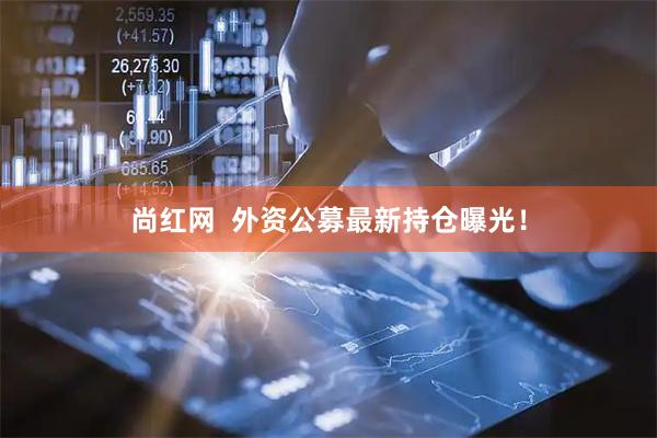 尚红网  外资公募最新持仓曝光！